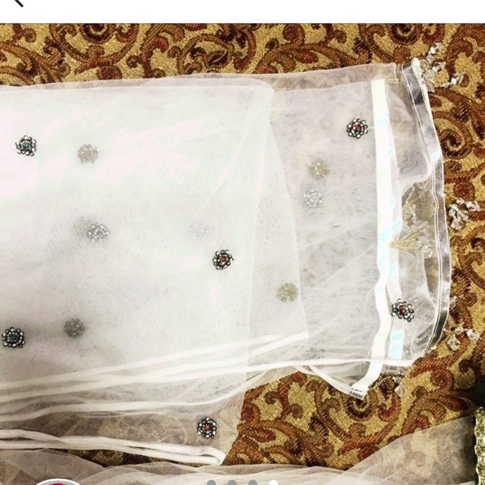 Special occasion Indian Pakistani outfit - Picture 4 of 4